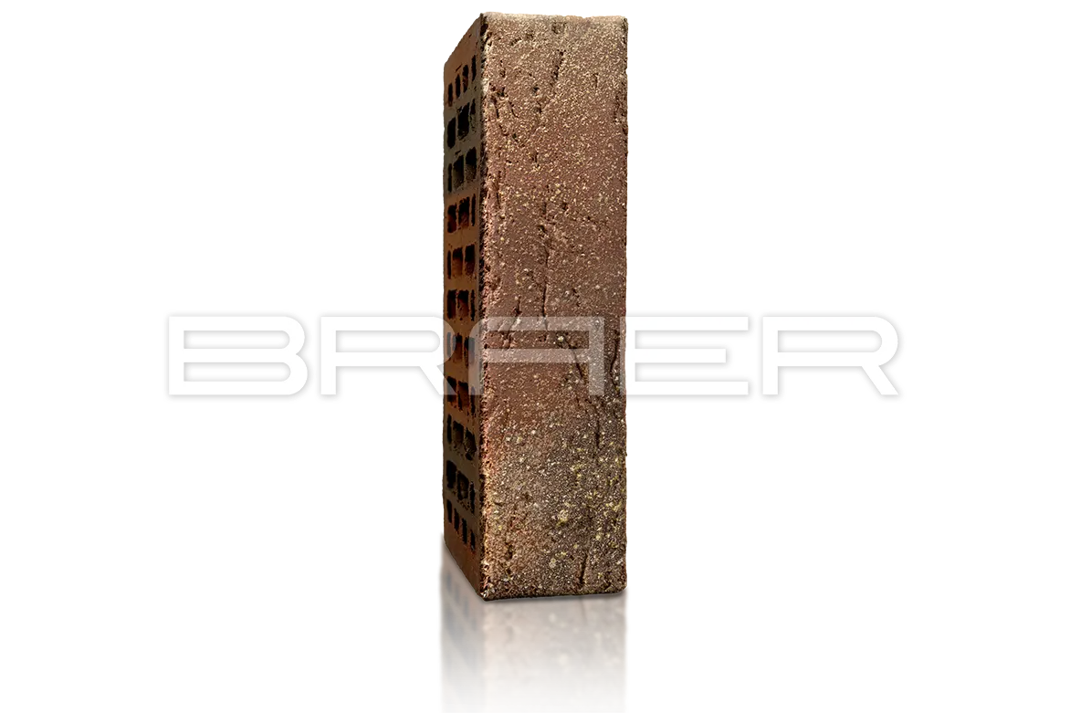 BRAER PRO 55.08.1 Braer по недорогой цене в Челябинске